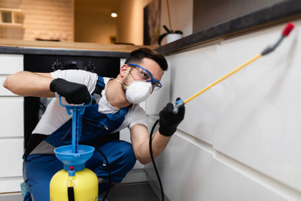 Best Rat Extermination Near Me  in Charlotte, TN