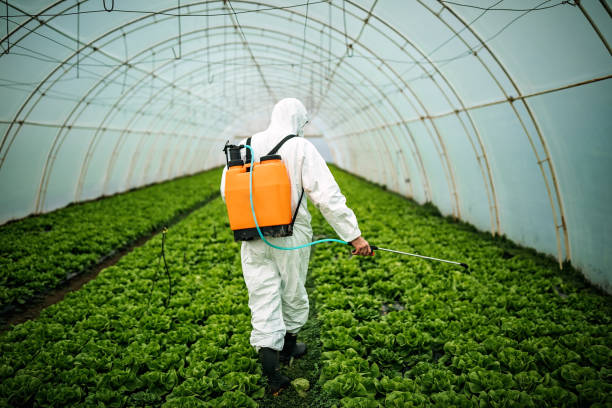 Best Best Pest Control Companies  in Charlotte, TN