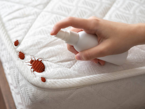 Best Pest Inspection Near Me  in Charlotte, TN